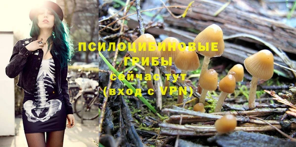 дживик Заволжск