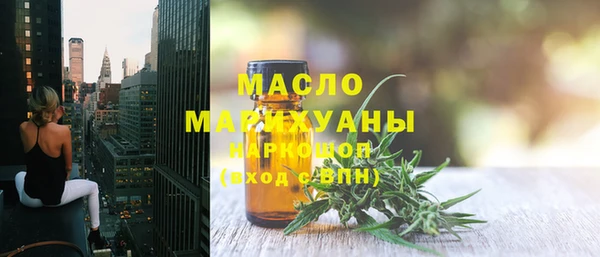 индика Заводоуковск