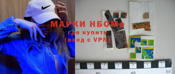 индика Заводоуковск