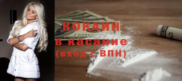 индика Заводоуковск