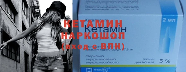 индика Заводоуковск