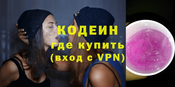индика Заводоуковск