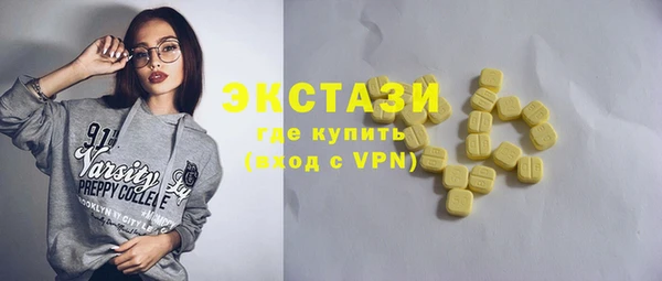 индика Заводоуковск