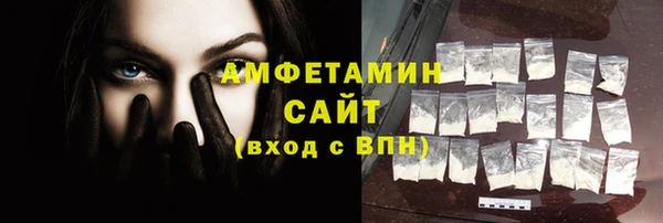 индика Заводоуковск