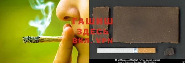 индика Заводоуковск