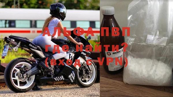 индика Заводоуковск