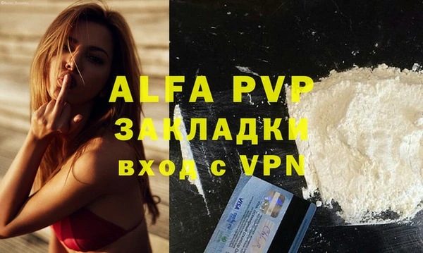 индика Заводоуковск