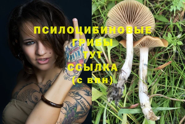 COCAINE Заволжье